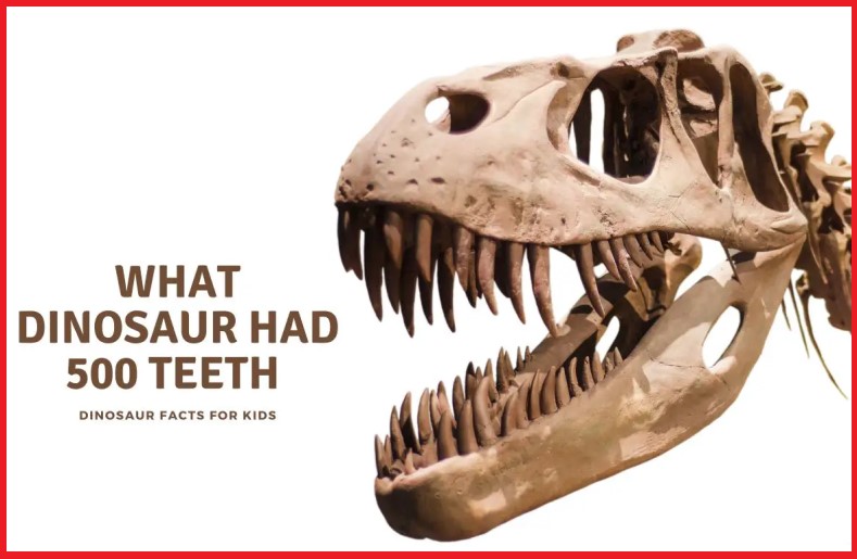 What is 500-Teeth Dinosaur