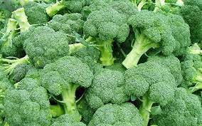 broccoli health full